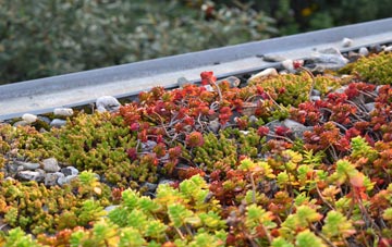 the cost of Coven green roof installation