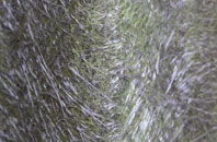 Coven fibreglass roof work